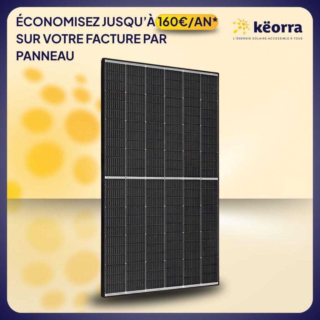 Panneau solaire 500Wc TrinaSolar Bifacial – Bi-verre